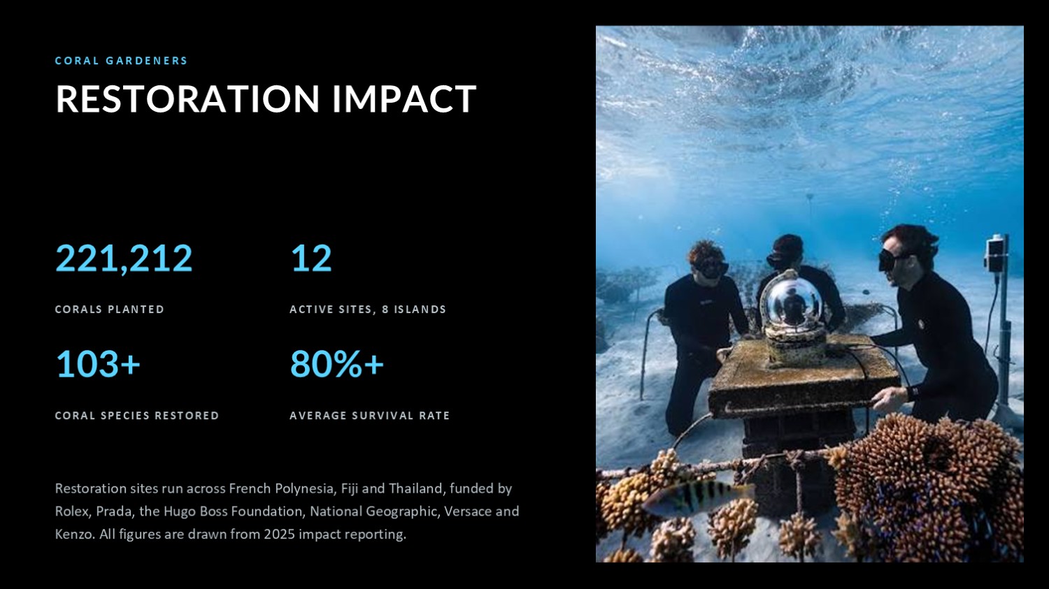 Coral Gardeners restoration impact in numbers